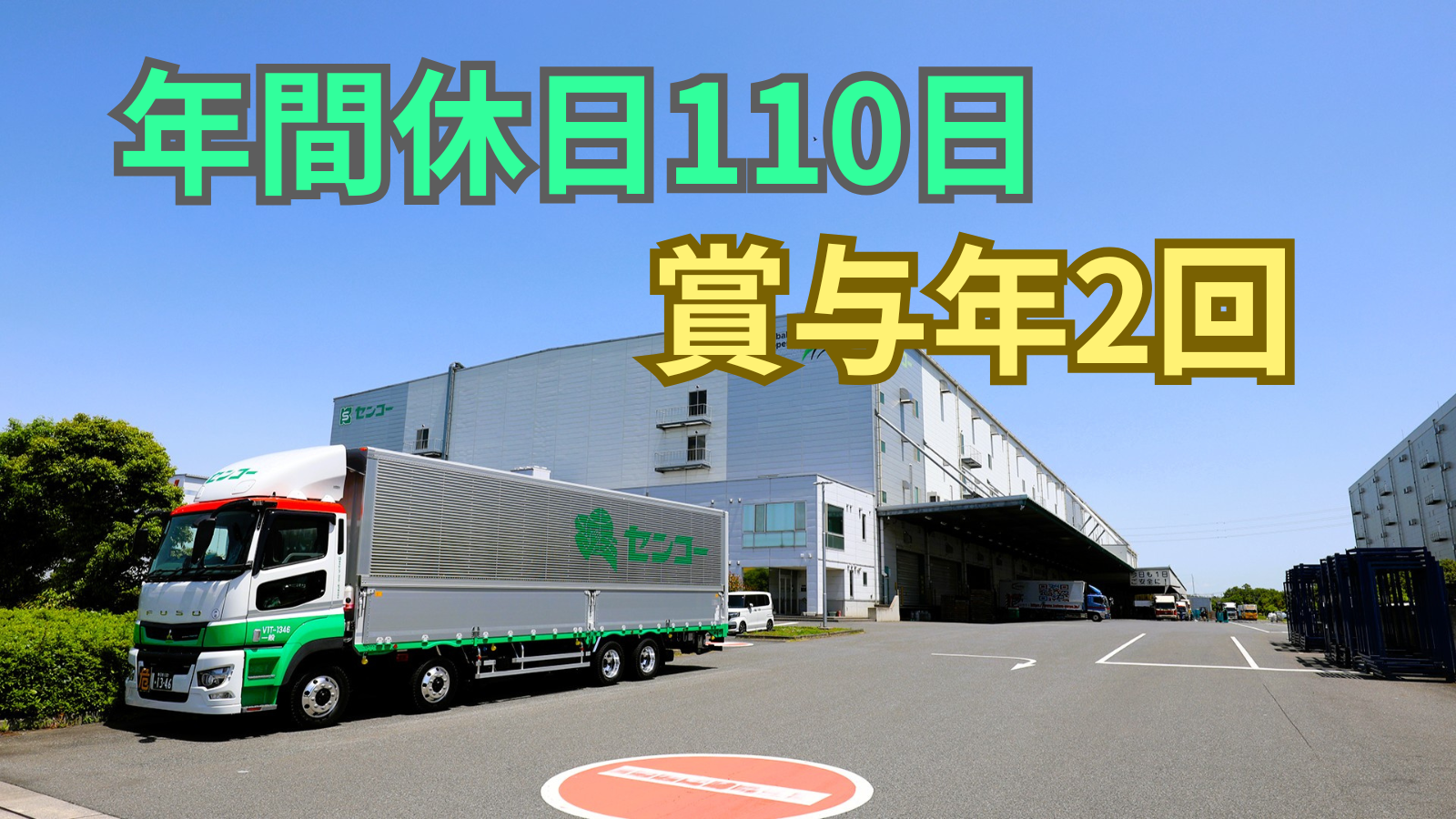 ⑤【希少】極太特大ドラセナドラコ※本物 ※引き取り限定【埼玉県草加市内】 ⑤【希少】極太特大ドラセナドラコ※本物 ※引き取り限定【埼玉県